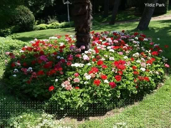 Yildiz Park